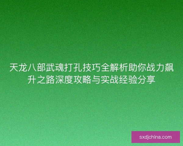 天龙八部武魂打孔技巧全解析助你战力飙升之路深度攻略与实战经验分享