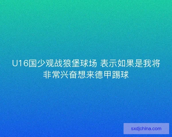 U16国少观战狼堡球场 表示如果是我将非常兴奋想来德甲踢球
