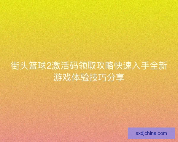 街头篮球2激活码领取攻略快速入手全新游戏体验技巧分享