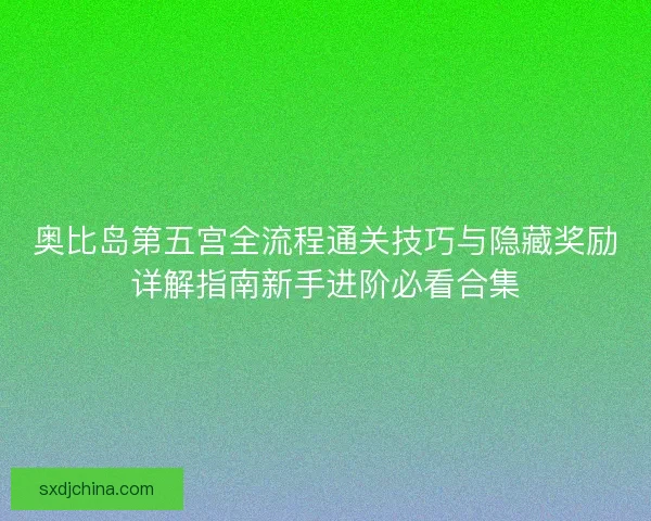奥比岛第五宫全流程通关技巧与隐藏奖励详解指南新手进阶必看合集