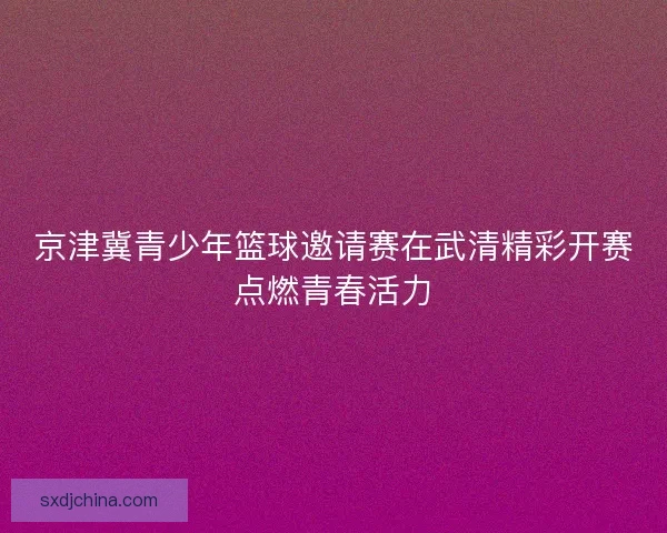 京津冀青少年篮球邀请赛在武清精彩开赛点燃青春活力