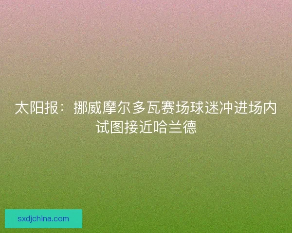 太阳报：挪威摩尔多瓦赛场球迷冲进场内试图接近哈兰德