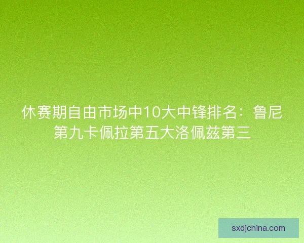 休赛期自由市场中10大中锋排名:鲁尼第九卡佩拉第五大洛佩兹第三 休赛期自由市场中10大中锋排名:鲁尼第九卡佩拉第五大洛佩兹第三